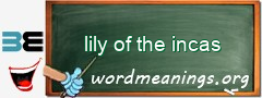 WordMeaning blackboard for lily of the incas